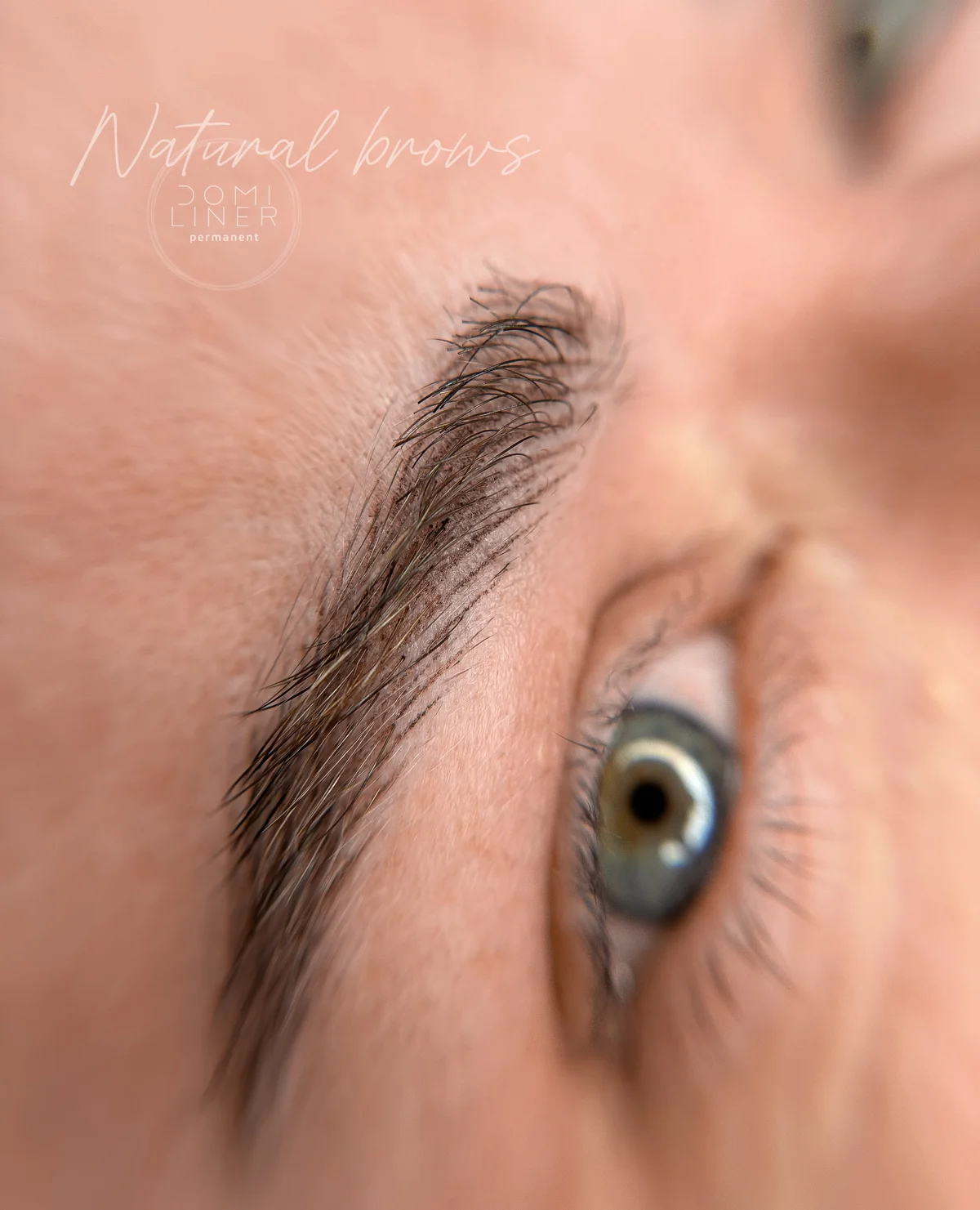 Hairstroke brows , permanent make up , detail