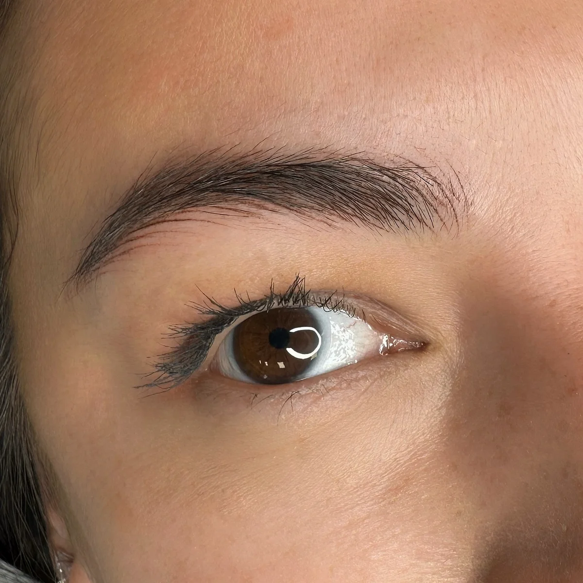 Hairstroke brows – result